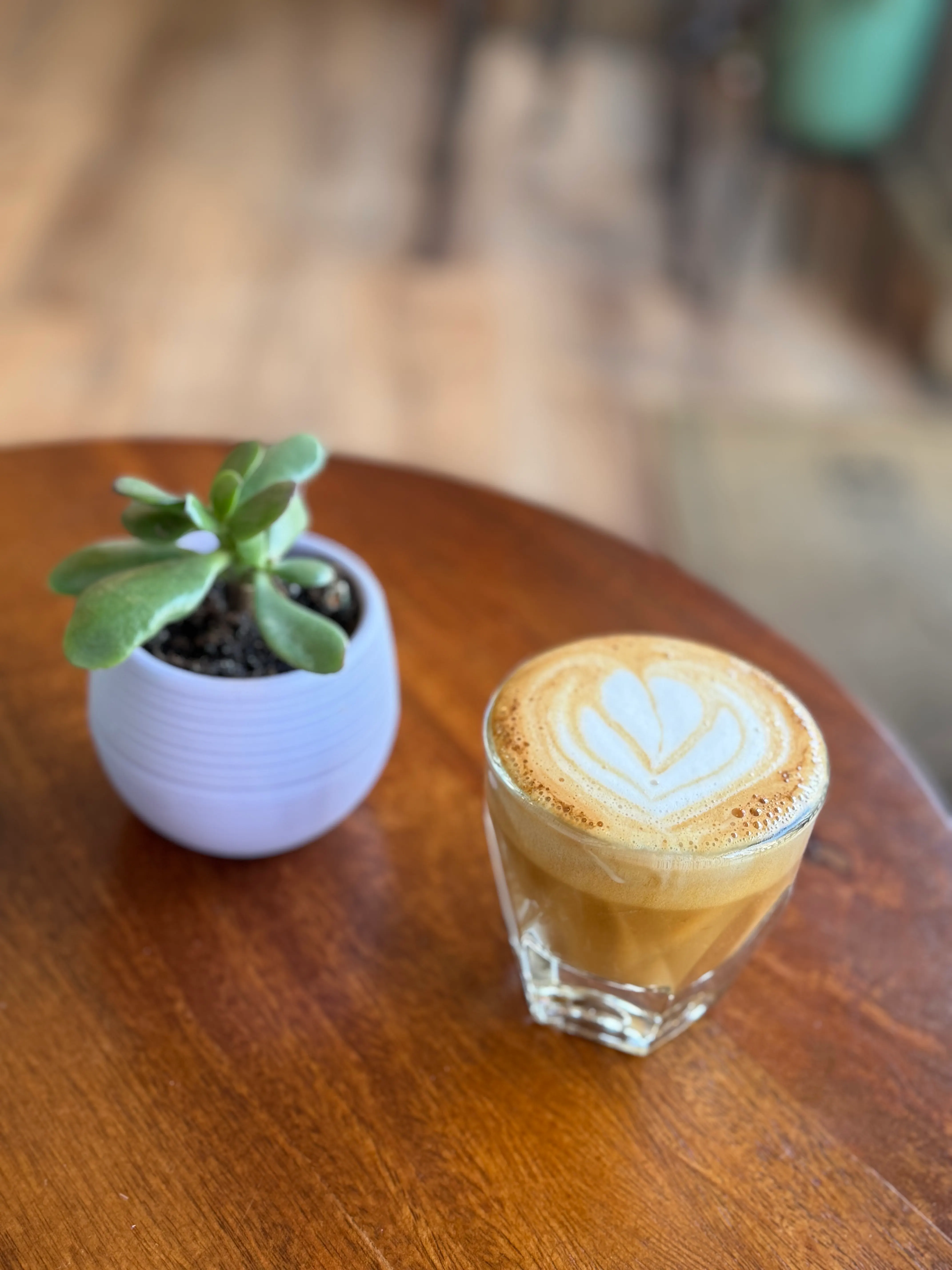 Cortado with latte art beside a small potted plant