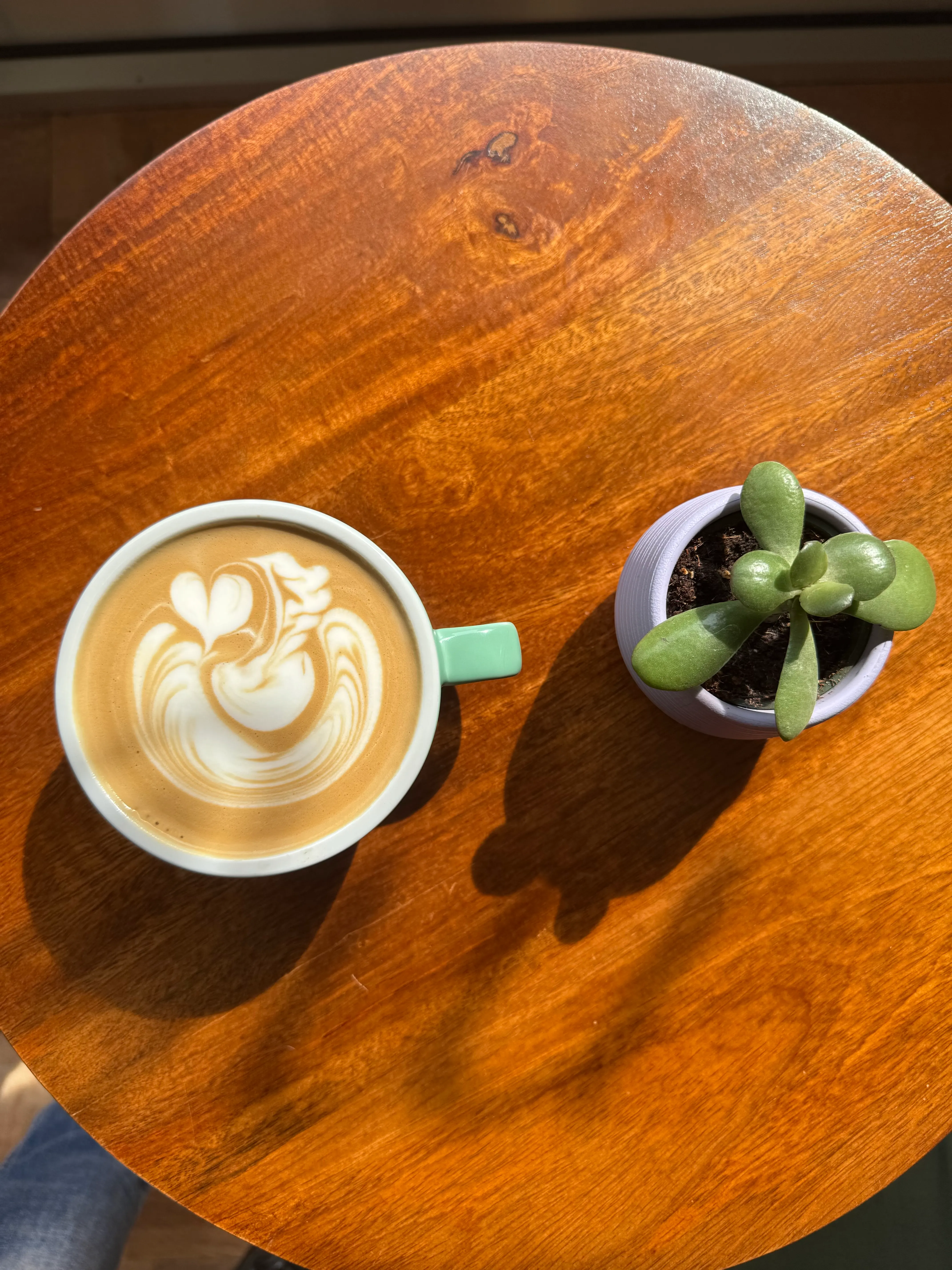 Latte art in a mint cup beside a small plant on a wooden table